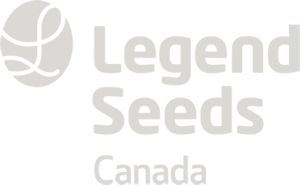 Legend Seeds 1